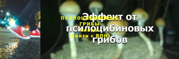МДПВ Ростов